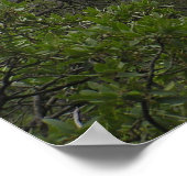 Poster Big Bend Canyon (Coin)