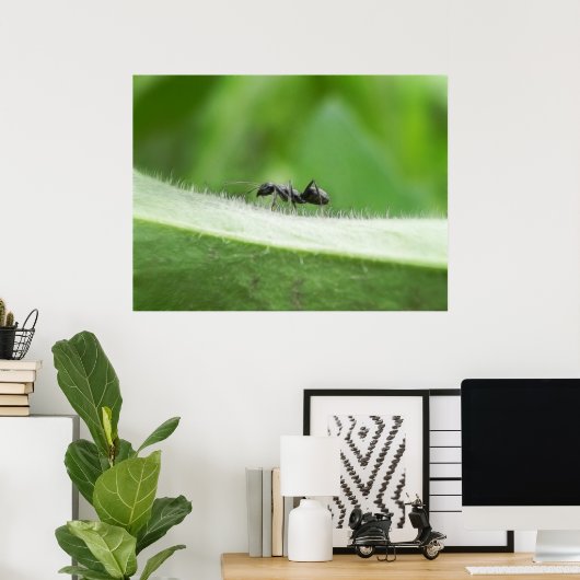 Poster Big Black Ant (Bureau à domicile)