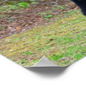 Poster Big Black Bear dans le Smoky's (Coin)