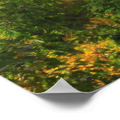 Poster Big Branch Wilderness Vermont (Coin)