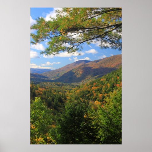 Poster Big Branch Wilderness Vermont (Devant)