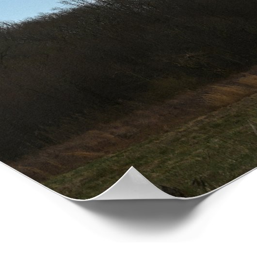 Poster Big Cloud (Coin)