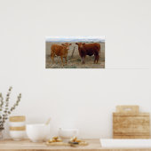 Poster Big Cow Eyes - Red Cattle - Western (Cuisine)