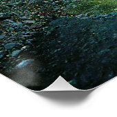 Poster Big Creek. (Coin)