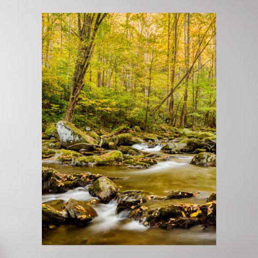 Poster Big Creek | Caroline du Nord (Devant)