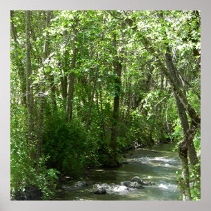 Poster Big Creek en été......