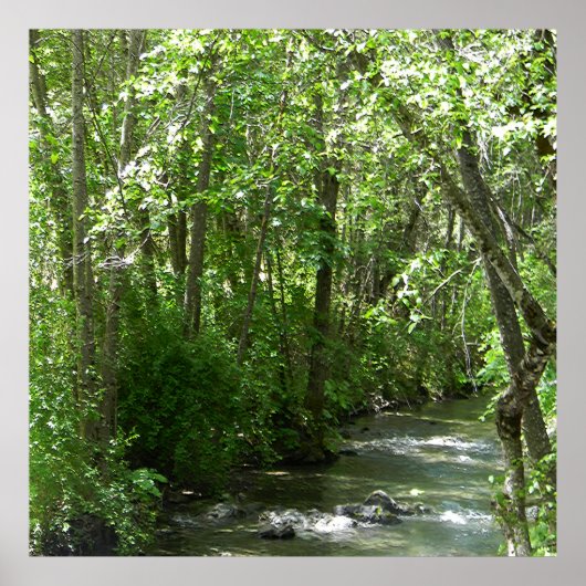 Poster Big Creek en été...... (Devant)