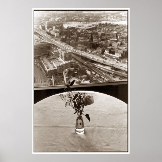 Poster Big Dig Rose (Devant)