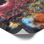 Poster Big Green Moray (Coin)