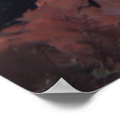 Poster Big Hawksbill of Amed (Coin)