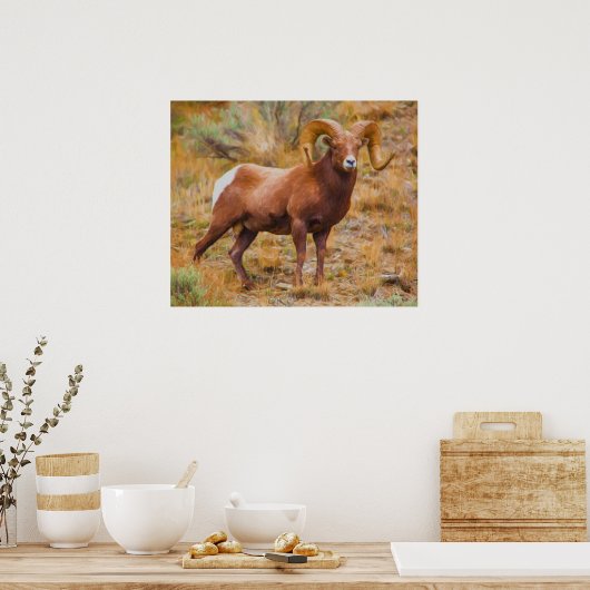 Poster Big Horn Ram (Cuisine)