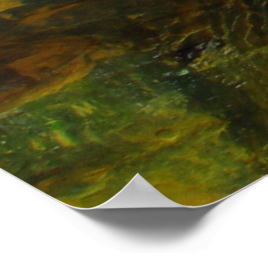 Poster Big Lyons Falls, Mohican State Park, Ohio (Coin)