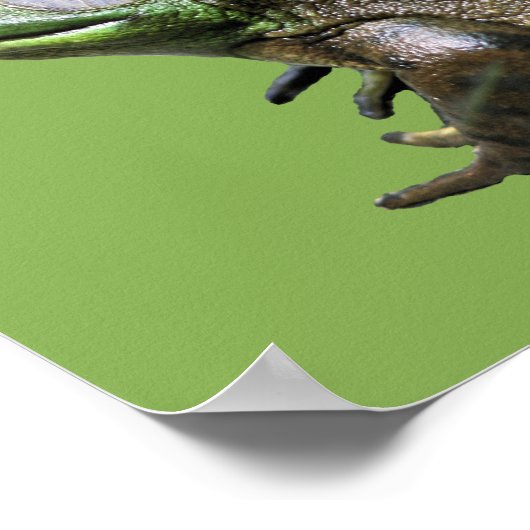 Poster Big Old Bullfrog Kids Room Personalized (Coin)