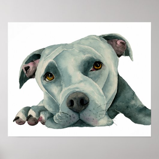 Poster Big Ol'Head | Pit Bull Dog aquarelle peinture (Devant)