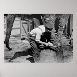 Poster Big Pedicure, années 1910