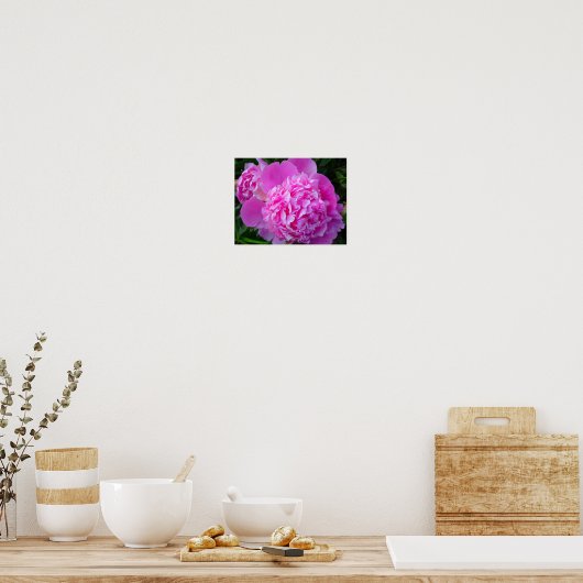 Poster Big Pink Peony (Cuisine)