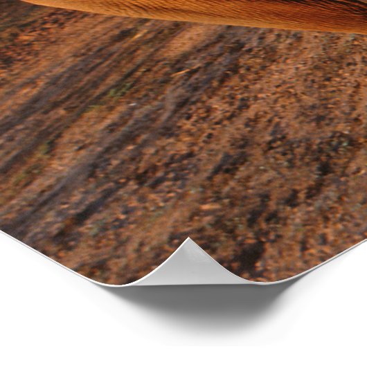 Poster Big Red (Coin)