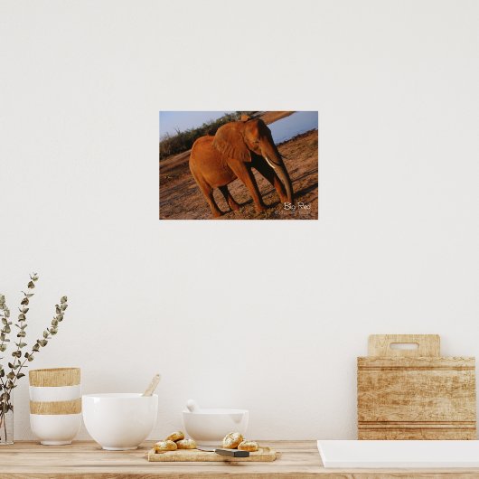 Poster Big Red (Cuisine)