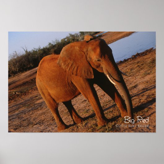 Poster Big Red (Devant)