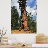 Poster Big Red Tree, La Pine OU (Cuisine)