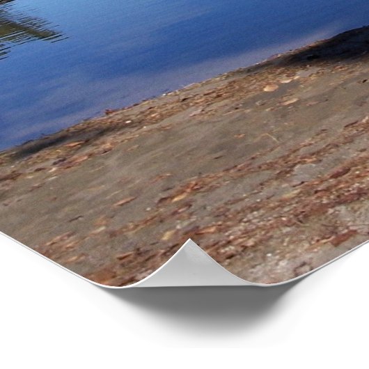 Poster Big Sebago Lake, Maine (Coin)