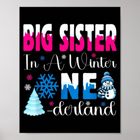 Poster Big Sister In A Winter Onederland Bday Girl Sweet (Devant)