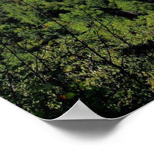 Poster Big South Fork NRRA (Coin)