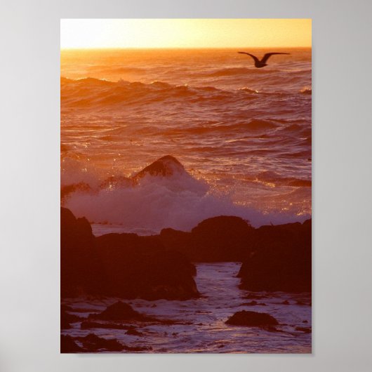 Poster Big Sur (Devant)