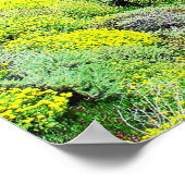 Poster Big Sur Bixby Bridge Imprimer (Coin)