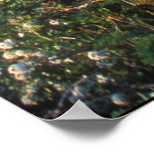 Poster Big Sur Côte Vista (Coin)