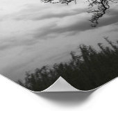 Poster Big Tree, Glacier Ridge Metropark, Dublin, Ohio (Coin)