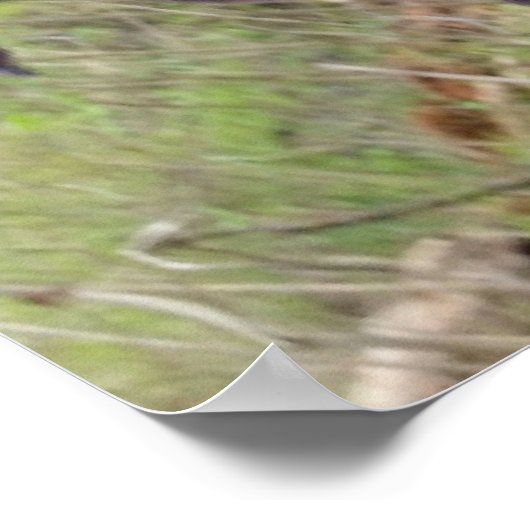 Poster Bigfoot (Coin)