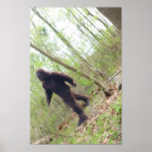 Poster Bigfoot (Devant)