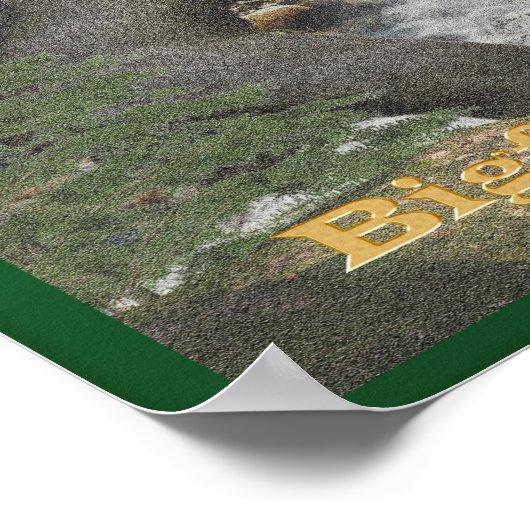 Poster Bigfoot (Coin)