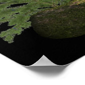 Poster Bigfoot (Coin)