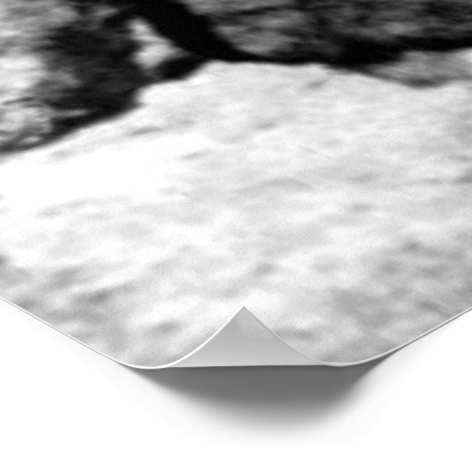 Poster Bigfoot (Coin)