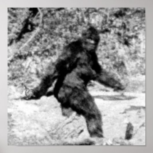 Poster Bigfoot (Devant)