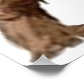 POSTER BIGFOOT (Coin)