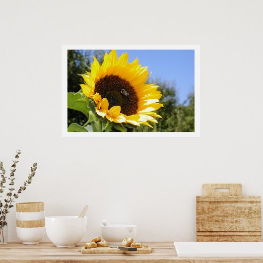 Poster Bigger Sun Flower (Cuisine)