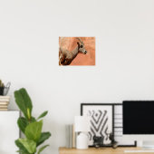 Poster Bighorn Sheep (Bureau à domicile)