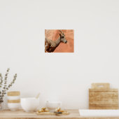 Poster Bighorn Sheep (Cuisine)