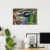 Poster Bihoreau à couronne jaune (Bureau à domicile)