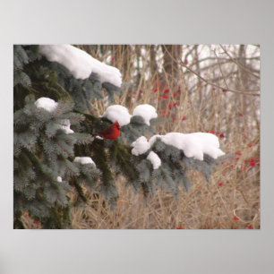 Poster Bijou parmi des arbres