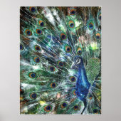 Poster bijoux PMACarlson (Devant)