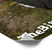 Poster Biker Babe - Brunette Biker Babe (Coin)