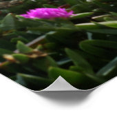 Poster Bikini Girl (Coin)