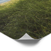 Poster Bill Baggs Cape Florida Lighthouse, Bill Baggs (Coin)