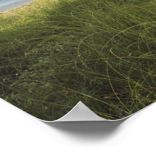 Poster Bill Baggs Cape Florida Lighthouse, Bill Baggs (Coin)