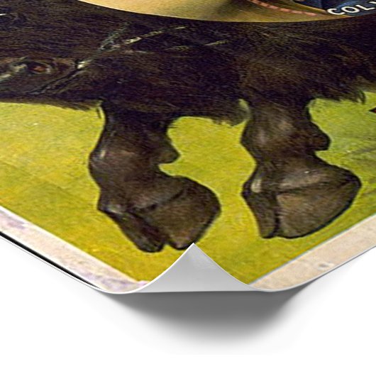 Poster Bill Cody -1899 (Coin)