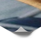 Poster Bill Murray Vie aquatique (Coin)